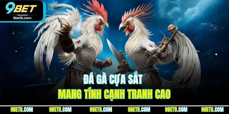 Đá gà cựa sắt mang tính cạnh tranh cao